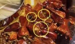 陕西火锅店爆料视频最新,独家秘制锅底，食客排队尝鲜