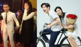 小雅夫妇爆料视频大全最新,揭秘娱乐圈背后的真相与内幕